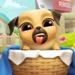 Mon toilettage de chiot mignon modèle 3D