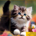 Puzzle Chatons Coulissants